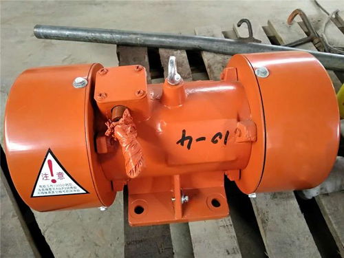 湖南立式振動(dòng)電機(jī)廠家 博越電機(jī)設(shè)備公司 立式振動(dòng)電機(jī)廠家供貨