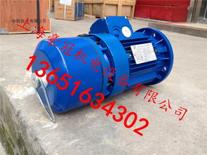 中研技術專業生產紫光剎車電機